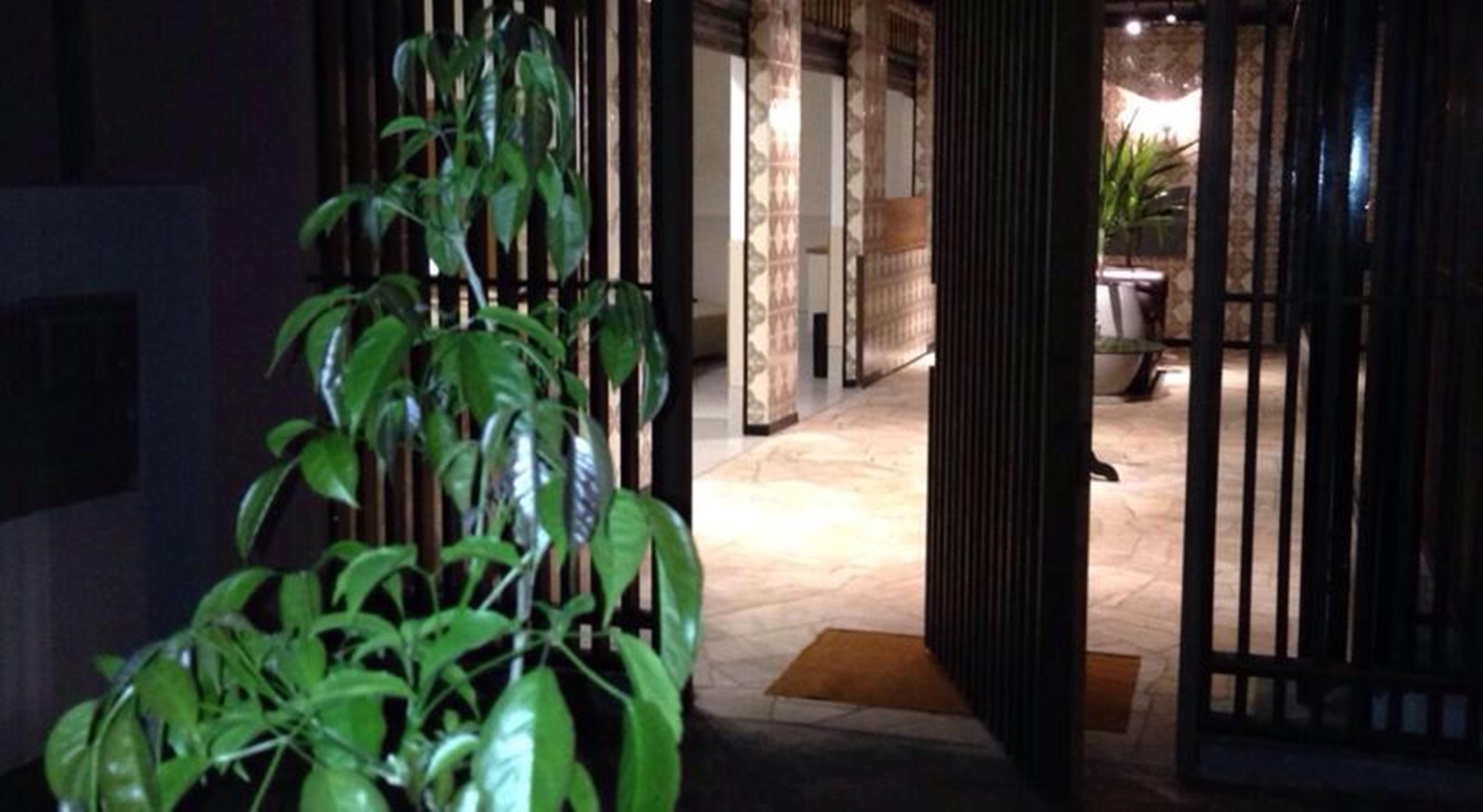 Vespasiano Hotel Telêmaco Borba Екстериор снимка